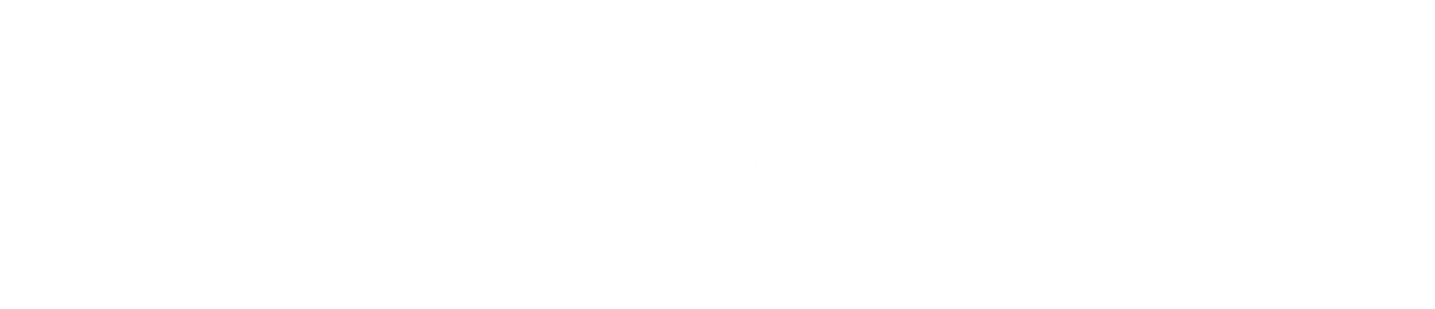 BR Sport + FuelTech